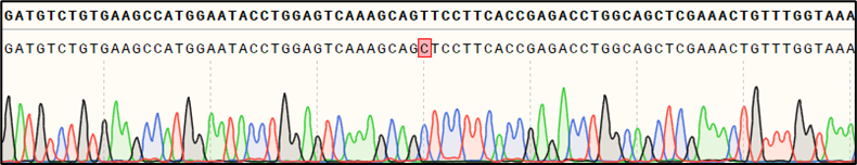 Figure - Cell line sequencing
